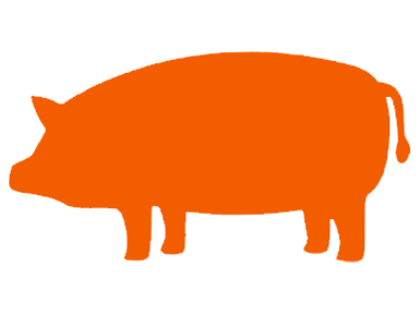 Pork